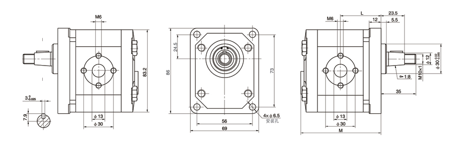 Bucher CB1E齿轮泵设计图